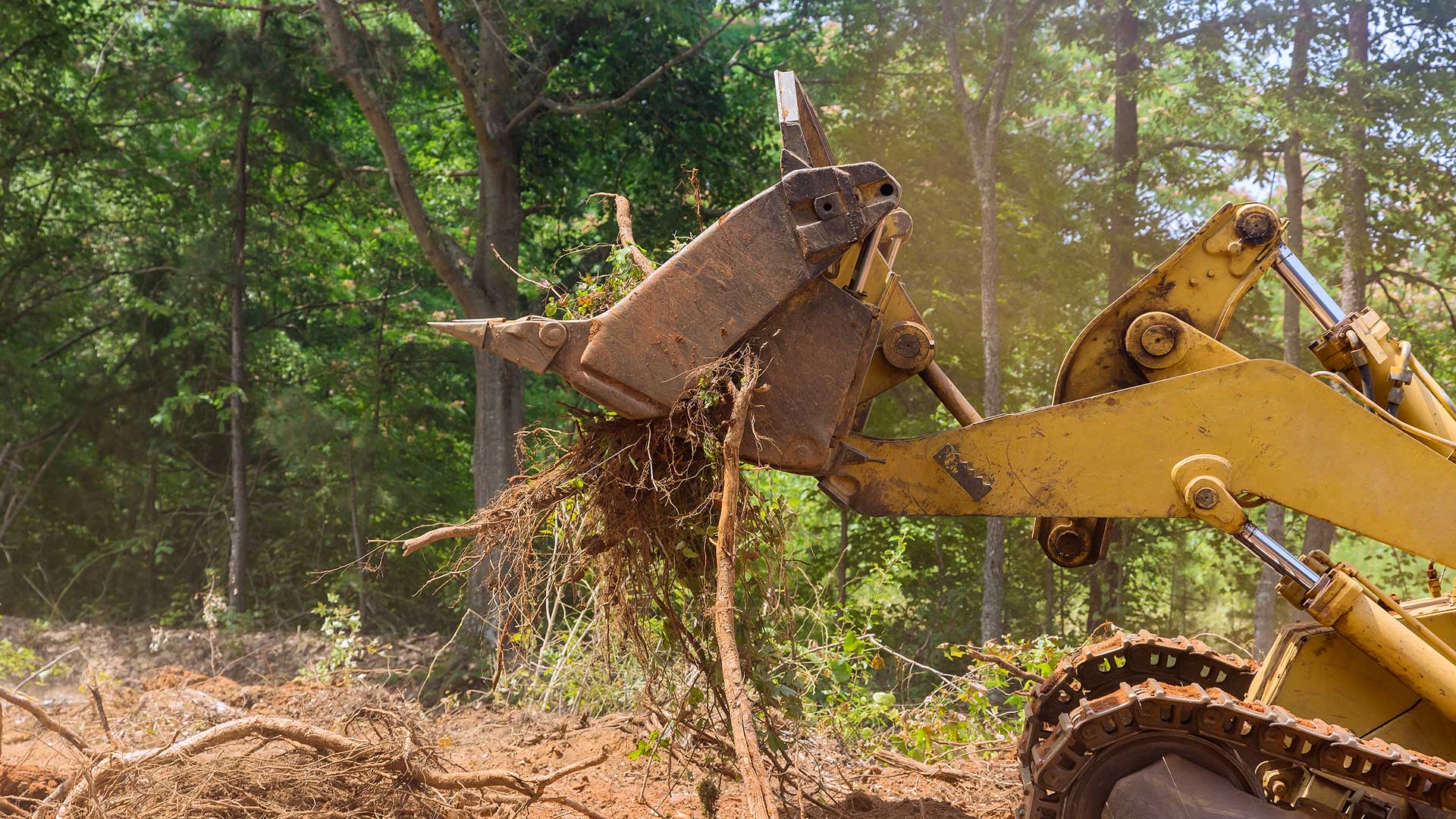 Say Goodbye to Debris and Trees